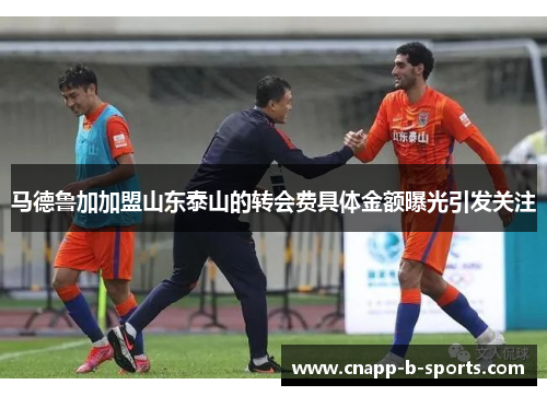马德鲁加加盟山东泰山的转会费具体金额曝光引发关注