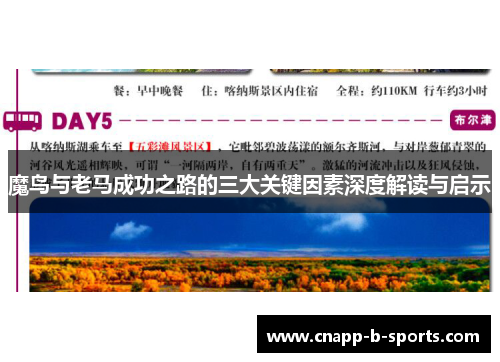 魔鸟与老马成功之路的三大关键因素深度解读与启示