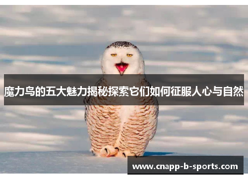 魔力鸟的五大魅力揭秘探索它们如何征服人心与自然